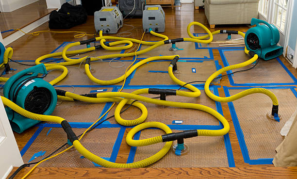 Professional Emergency Water Removal technician working in Newark, TX